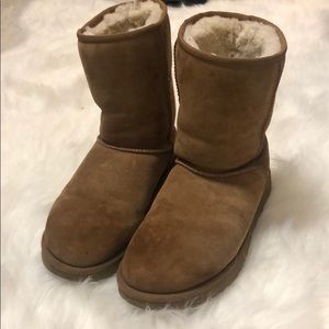 Short Chesnut Uggs